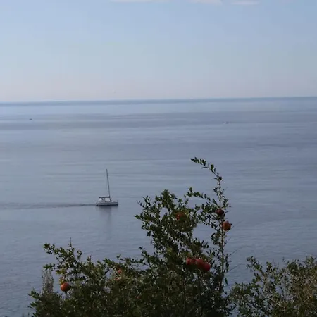 Anka * ドゥブロブニク