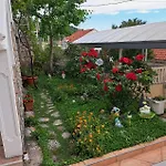 Appartamento Anka *