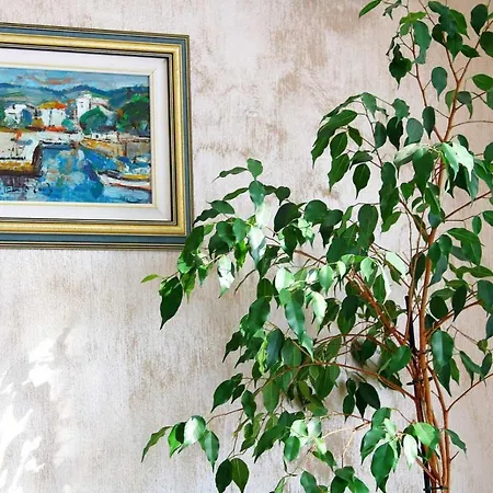 Apartment Anka Dubrovnik